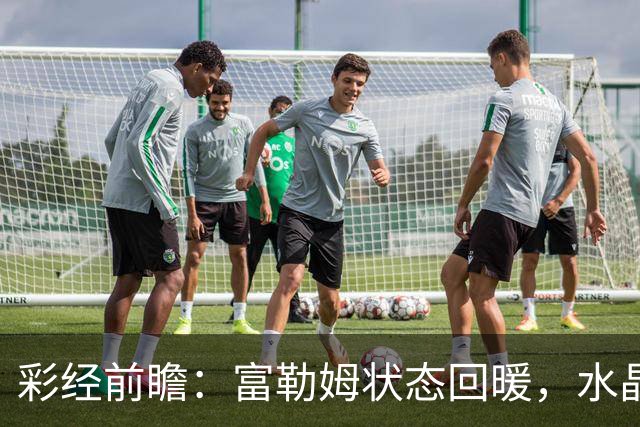 彩经前瞻：富勒姆状态回暖，水晶宫客场面临考验