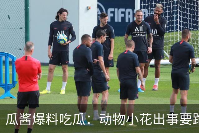 瓜酱爆料吃瓜：动物小花出事要跑路？