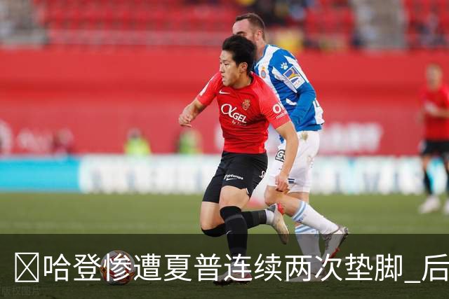 😮哈登惨遭夏普连续两次垫脚 后者累计两个一级恶犯被驱逐