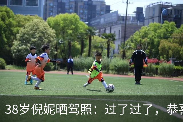 38岁倪妮晒驾照：过了过了，恭喜我自己；本人发94张自拍照记录学车历程